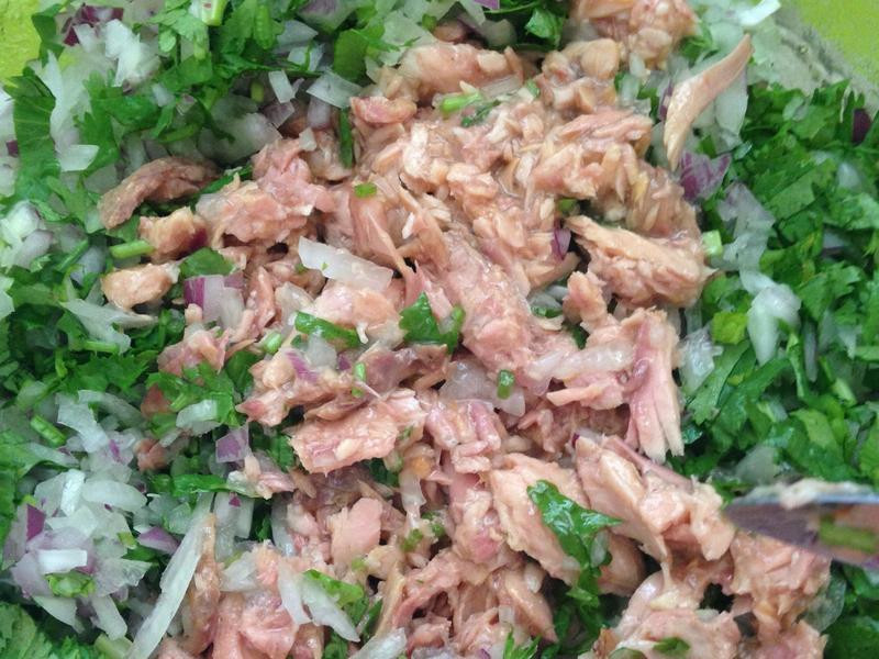 ������к�ݴɳ��������