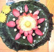 �ɻ�ܽ��-����ȫϯ���׵�����