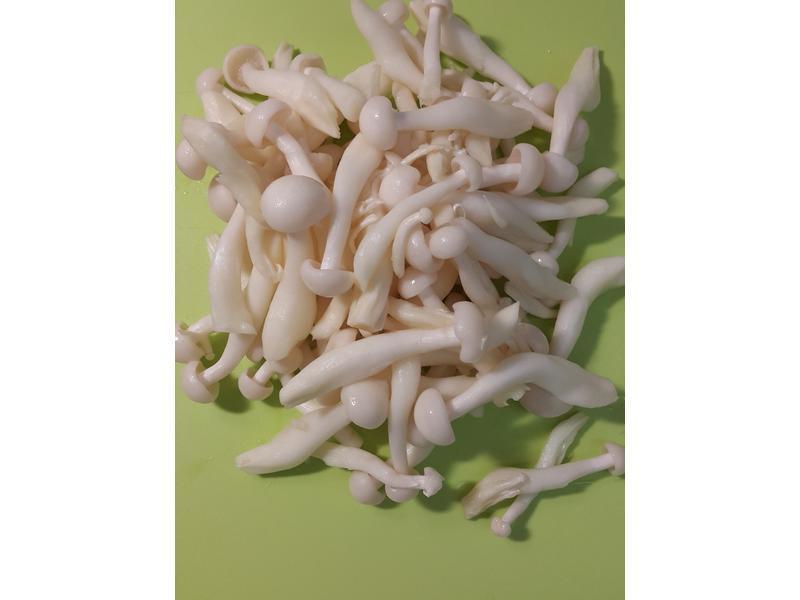 ���ѩ��±���ϵ�����