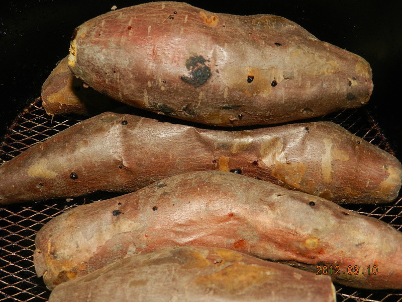 ���ع�(��ը��)������