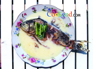 ����������������