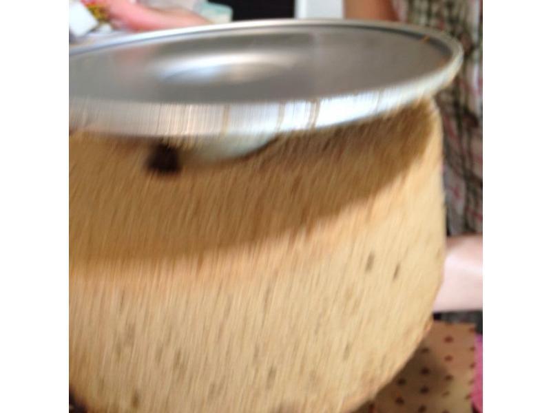 �����ݷ絰�⣨ͽ����ģ����������