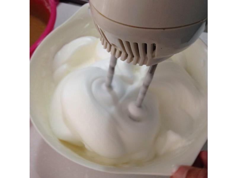 �����ݷ絰�⣨ͽ����ģ����������