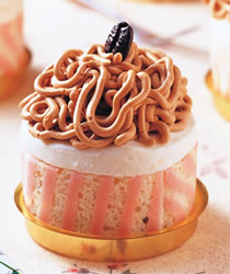 �����ɲ��ʵ�����