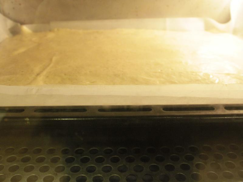 ����ͷ�����������