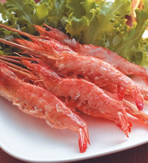 ���ο�Ϻ������