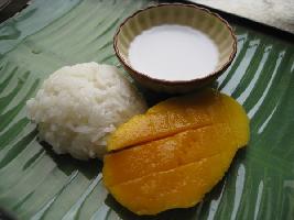 ̩��â��Ŵ�׷�������