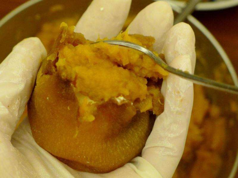 �ع�����α�Ϲ���������ʥ�ڡ�������