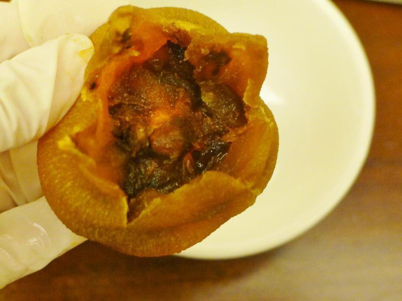 �ع�����α�Ϲ���������ʥ�ڡ�������