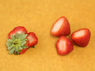 ������մ������