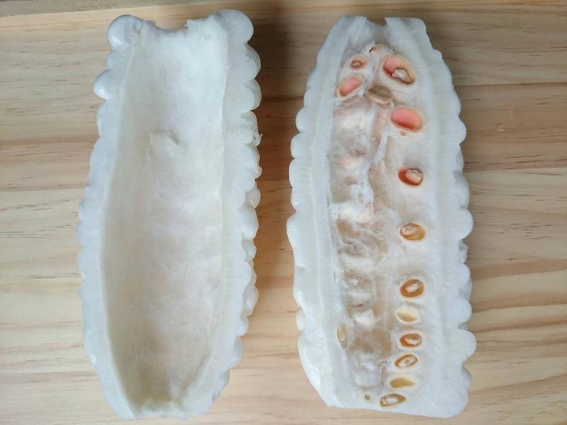 ������ϼ���������