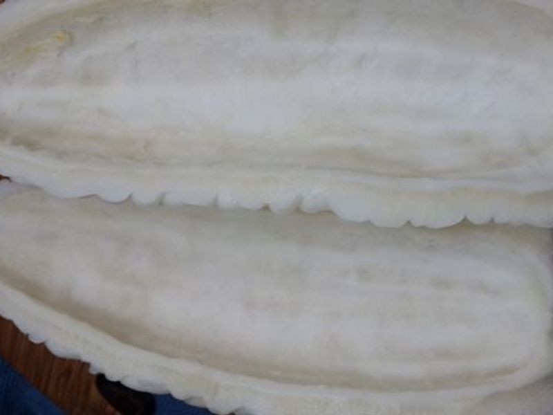 �����С�ŵ�����