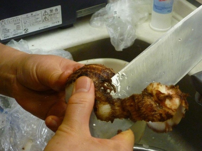 .? :??.��ʽ��ˤ��󤷤�.? :??.?������