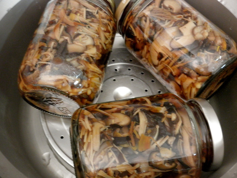 ������ζަ������ ��ʱ�����ĸ�¶֮ζ��������