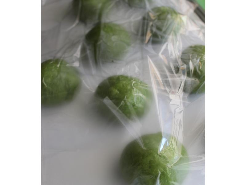 Ĩ��춹��ʿ�����������