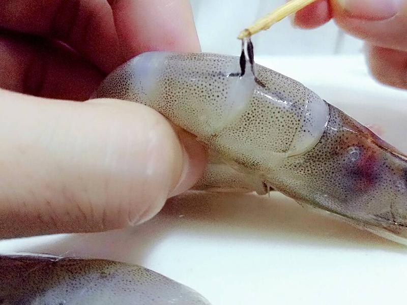 ��֭����Ϻ���������