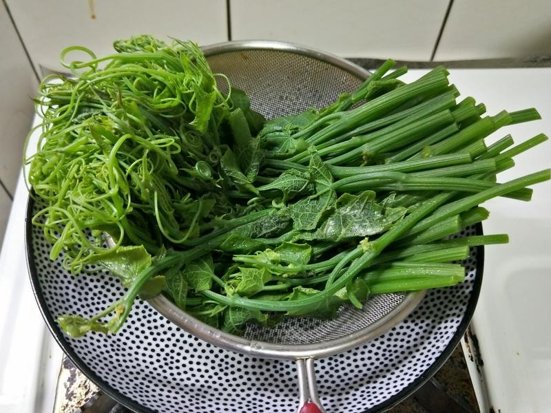 ��������������빽��������