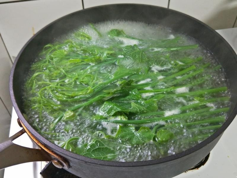 ��������������빽��������