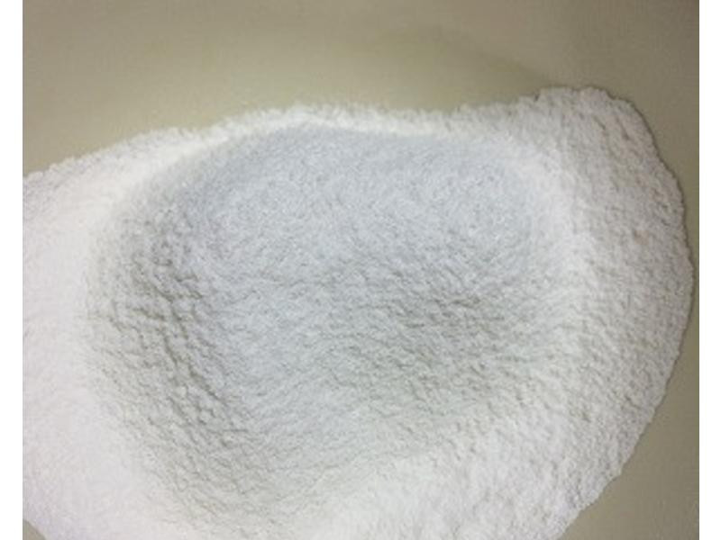 ����ѩ�������