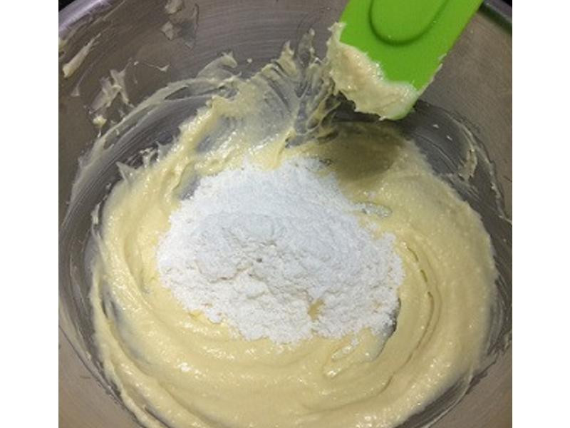 ����ѩ�������