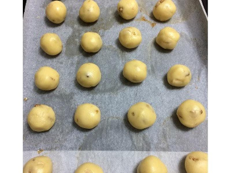 ����ѩ�������