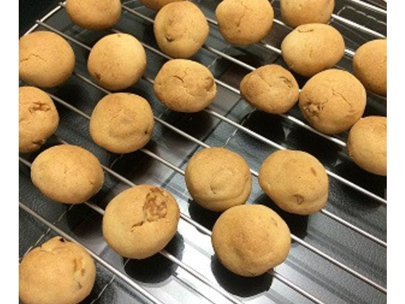 ����ѩ�������