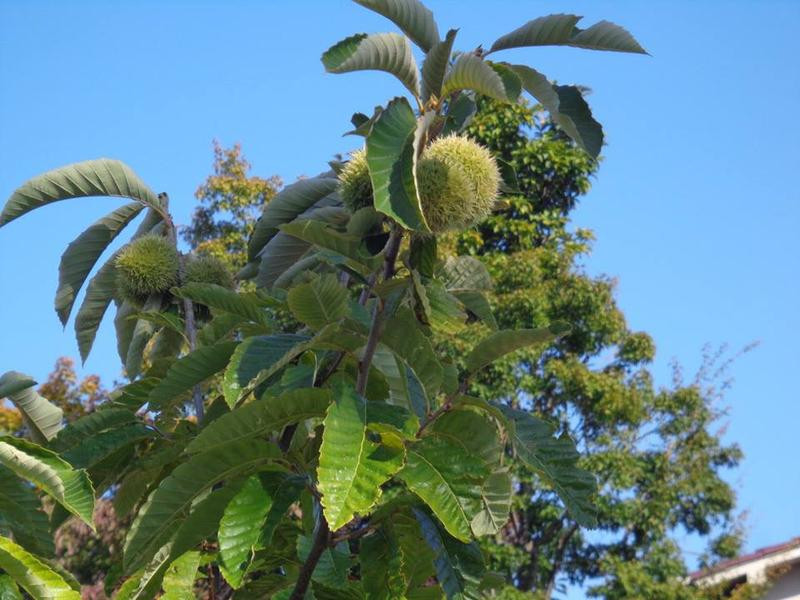 �������������