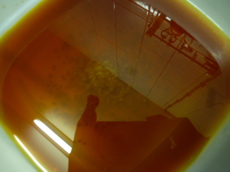 �������ŵ�����