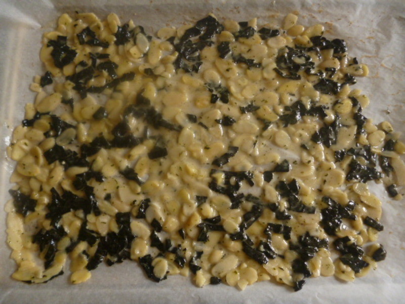 ��̦������Ƭ(����ʳ)������