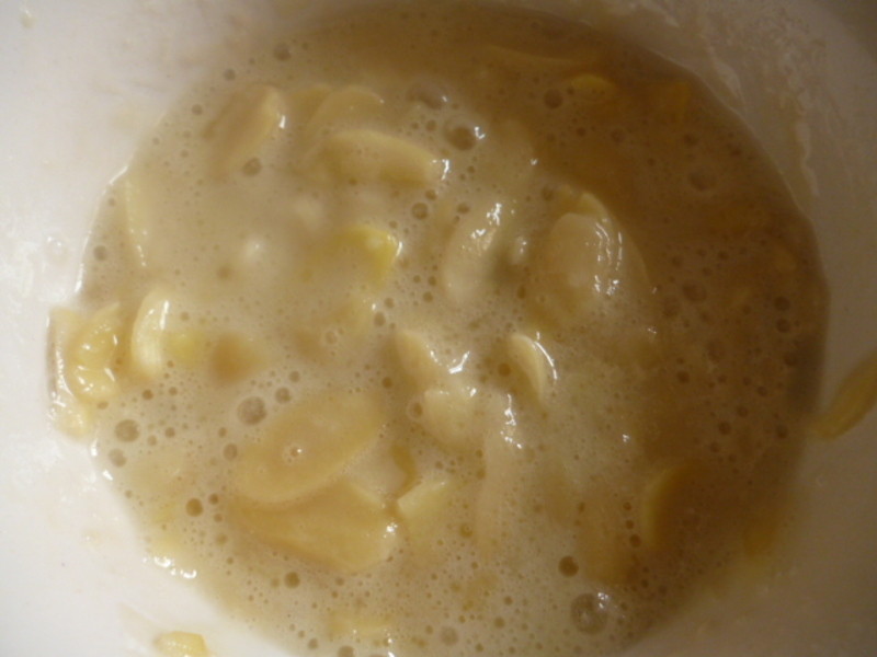 ��̦������Ƭ(����ʳ)������