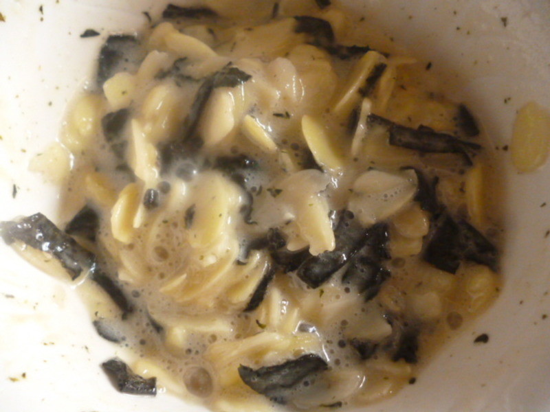 ��̦������Ƭ(����ʳ)������