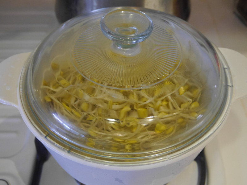 ��ʽ��ˡ��ƶ�ѿ&����ѿ������