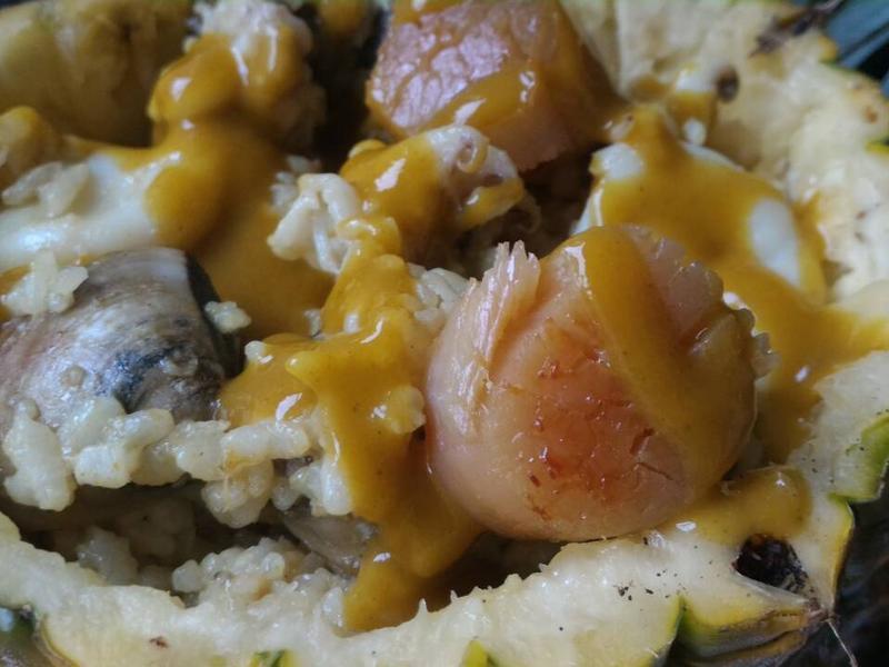 �ɹ���������X����������������������