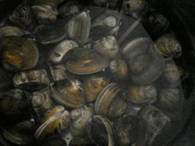 �ɹ���������X����������������������