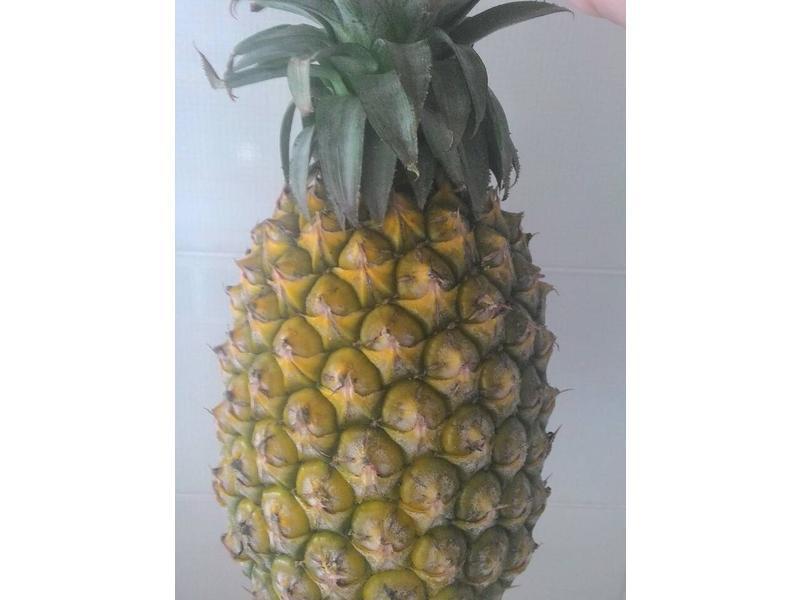 �ɹ���������X����������������������