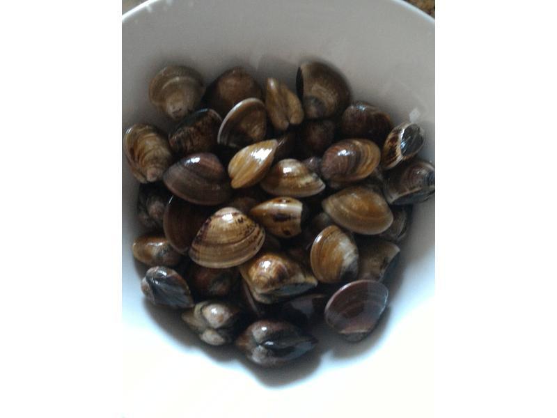 �ɹ���������X����������������������