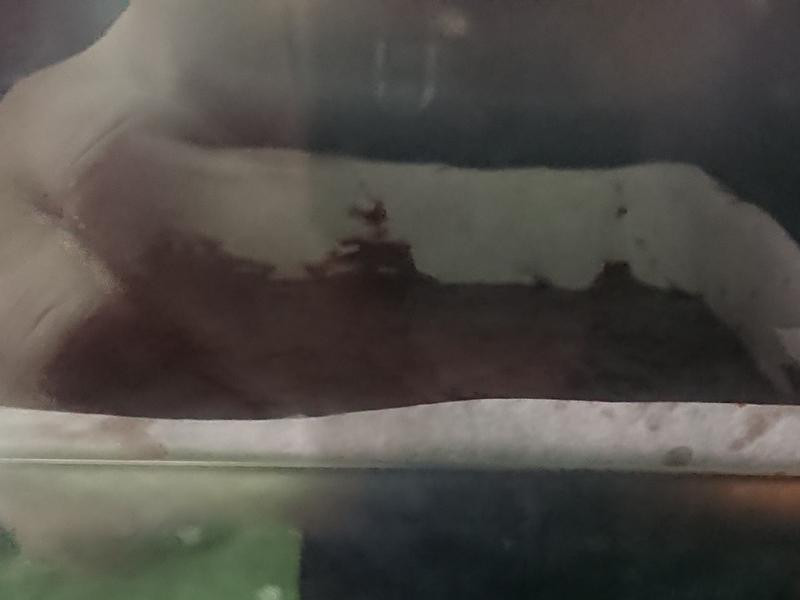 ��ʽ���������������