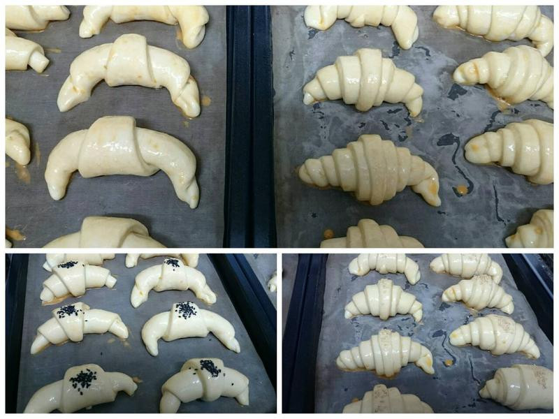 ��˾����Сţ�����������