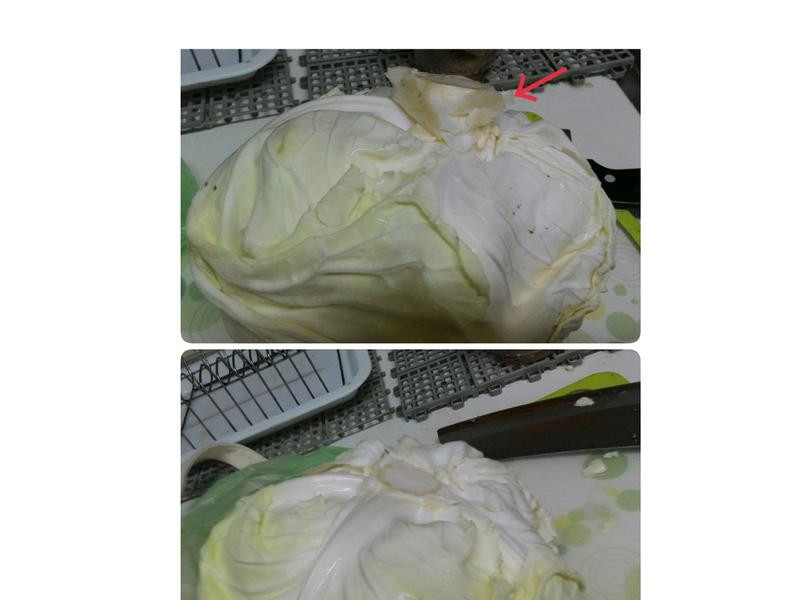 �������������