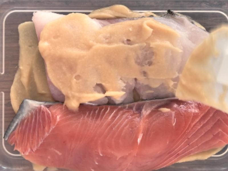 ����ζ���������