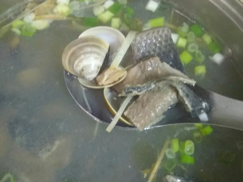 ������Ƥ��������