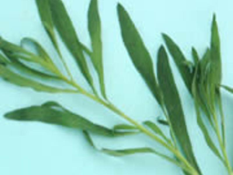 ħ����ʹ�������