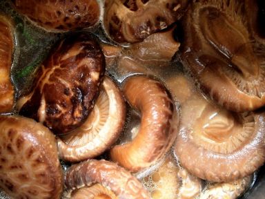 �����˶���������