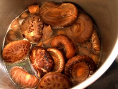 �����˶���������