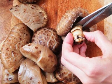 �����˶���������