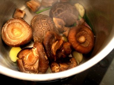 �����˶���������