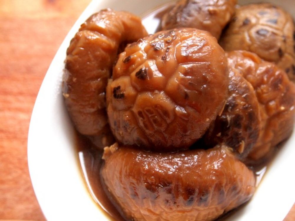 �����˶���������