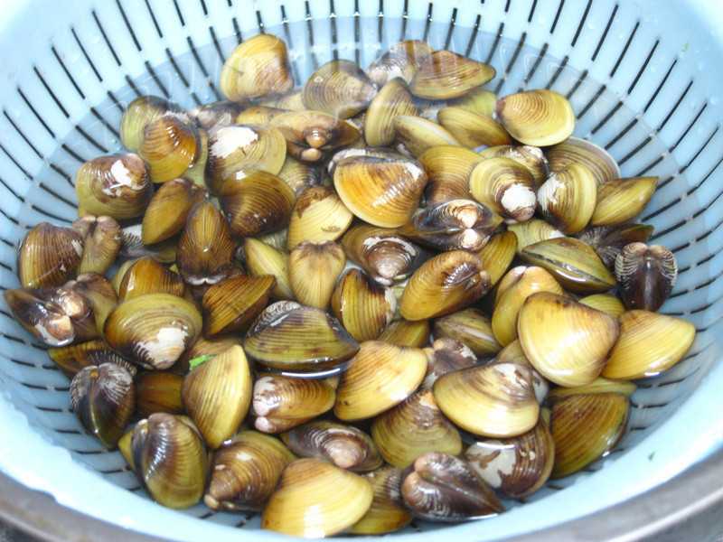 ���ƽ�������