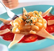 ެ��ͨ����ɳ��������