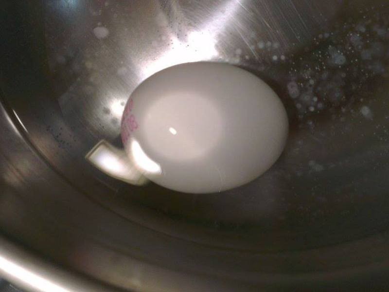 ���-������Ծ�鳤��[�㳦����]������